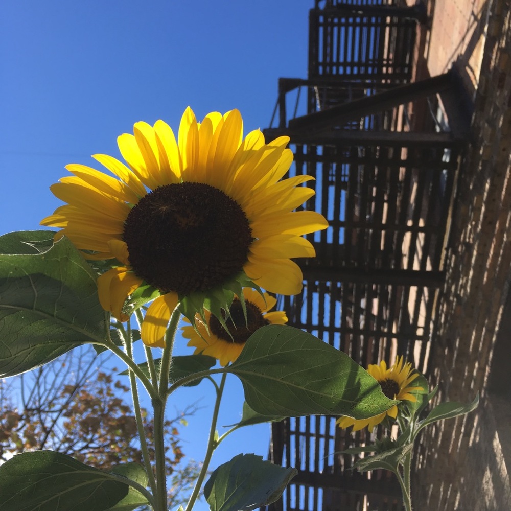 Meet your Posher, Jane